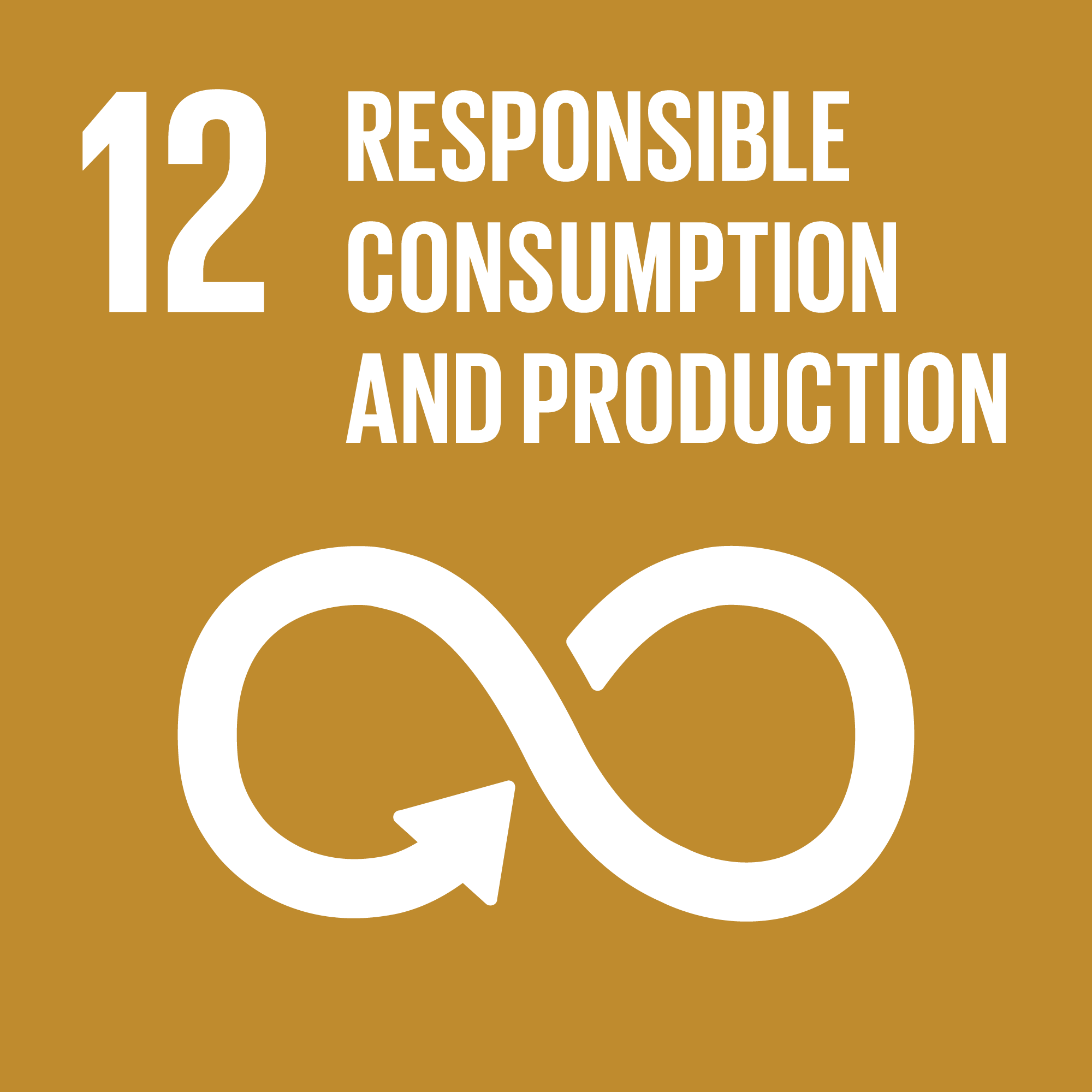 SDG12