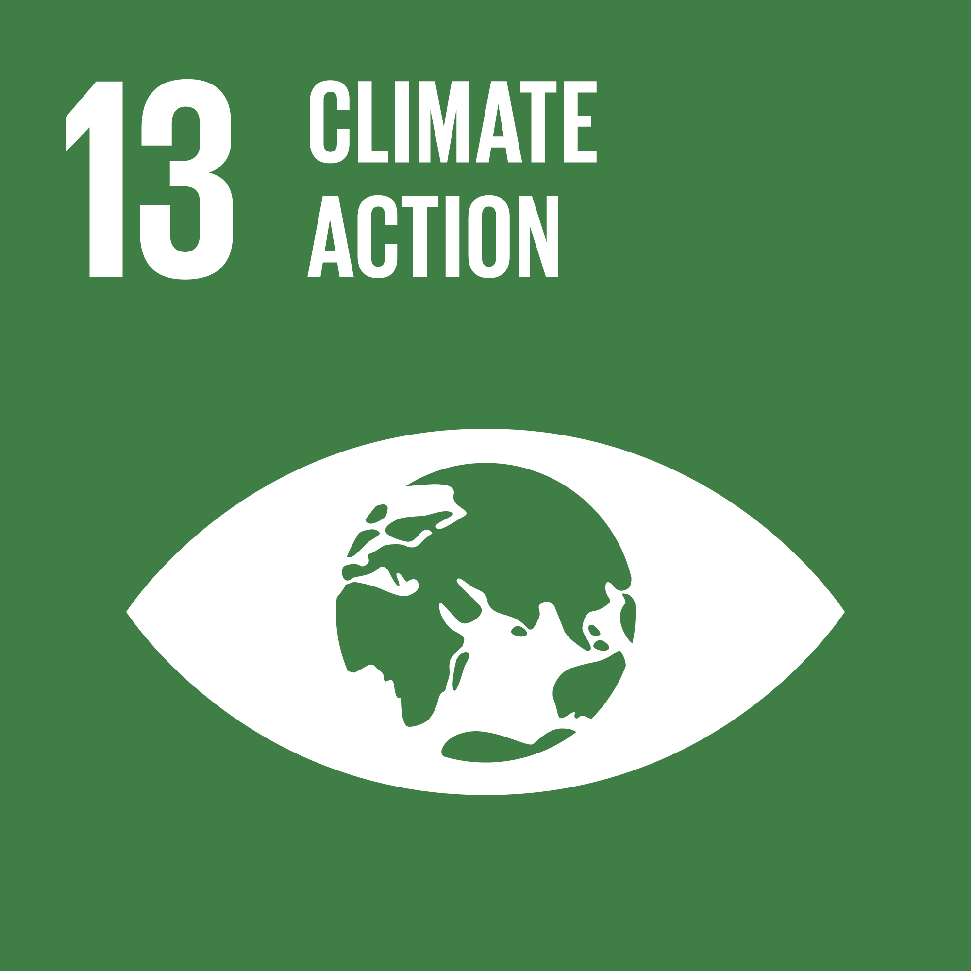 SDG13