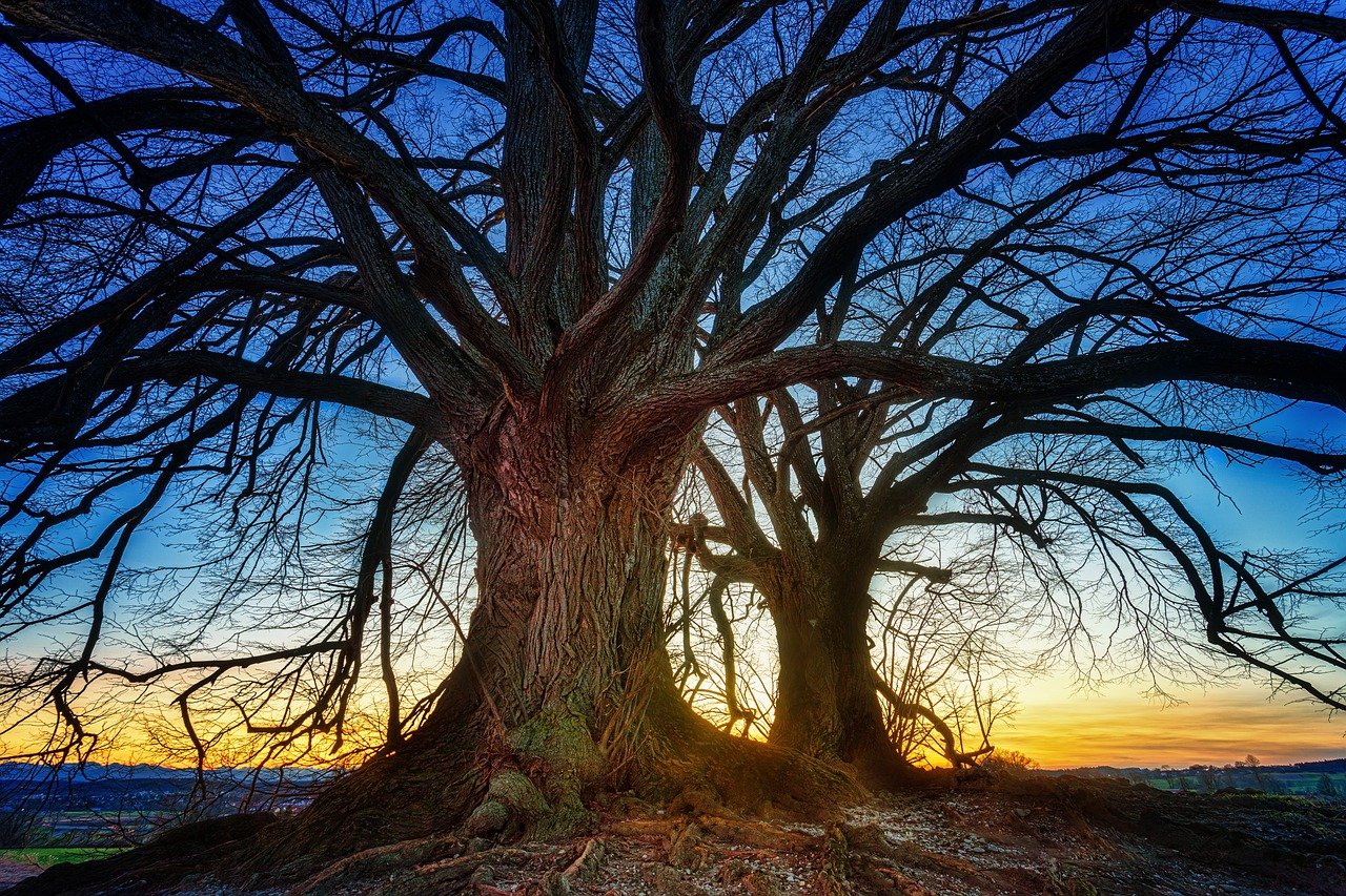 Sustainability round-up - interesting articles from around the web