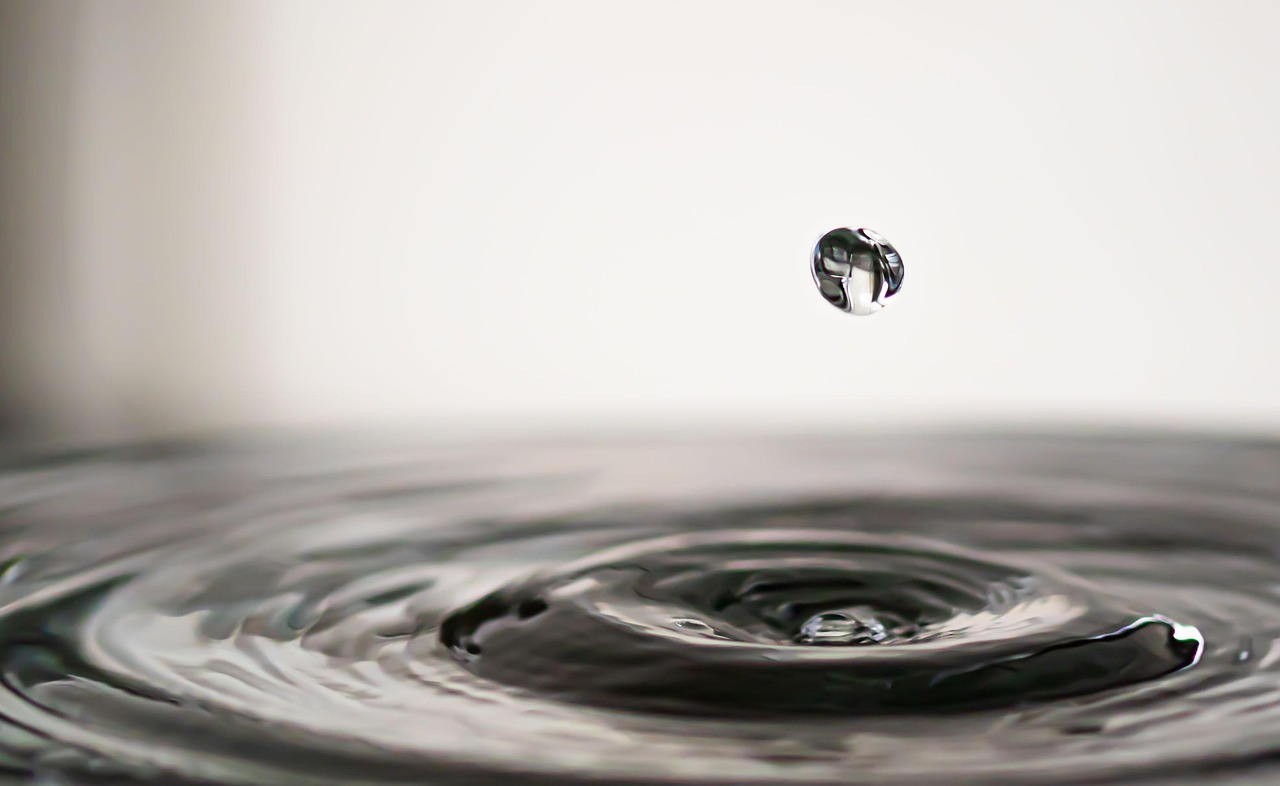 Sustainability round-up - interesting articles from around the web
