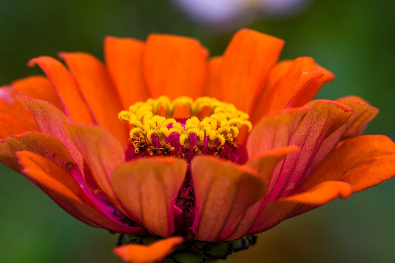 Sustainability round-up - interesting articles from around the web