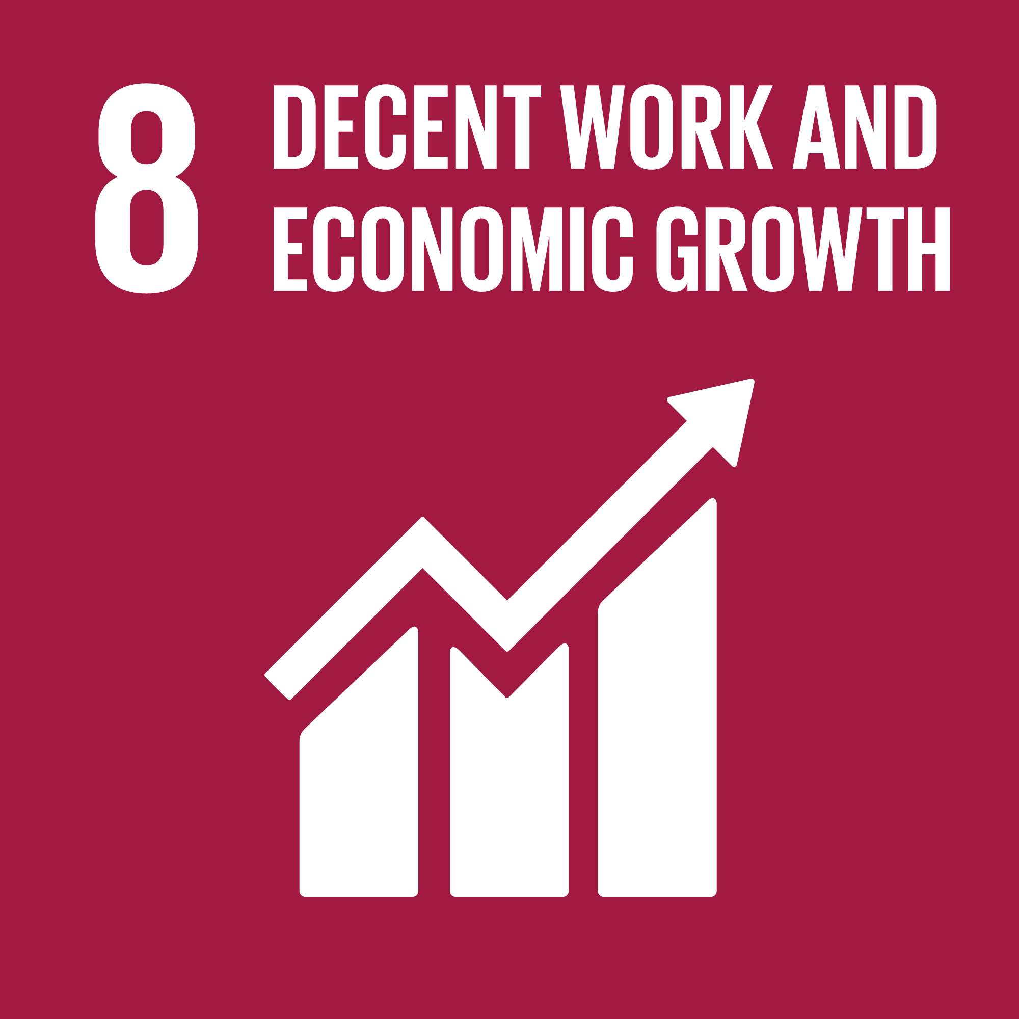 SDG 8 Decent Work